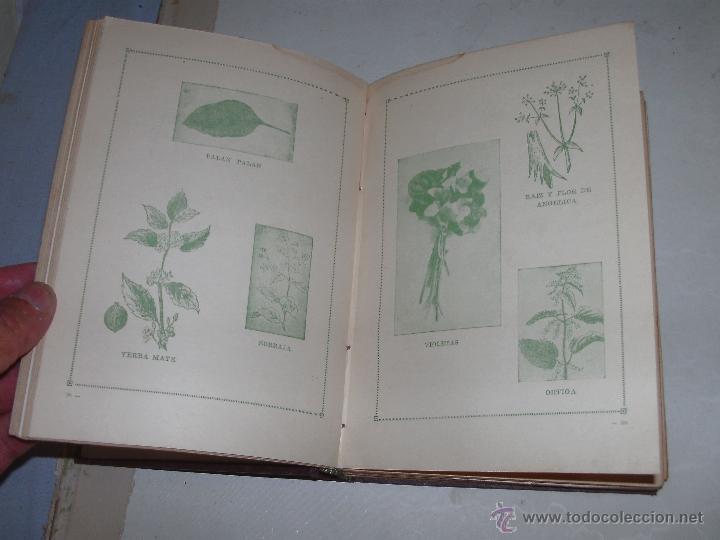 Libros antiguos: BOTANICA PRACTICA - Foto 3
