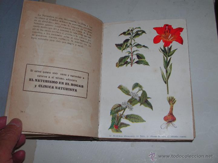 Libros antiguos: BOTANICA PRACTICA - Foto 4