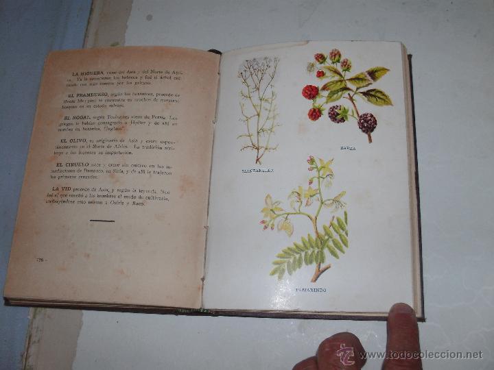 Libros antiguos: BOTANICA PRACTICA - Foto 5