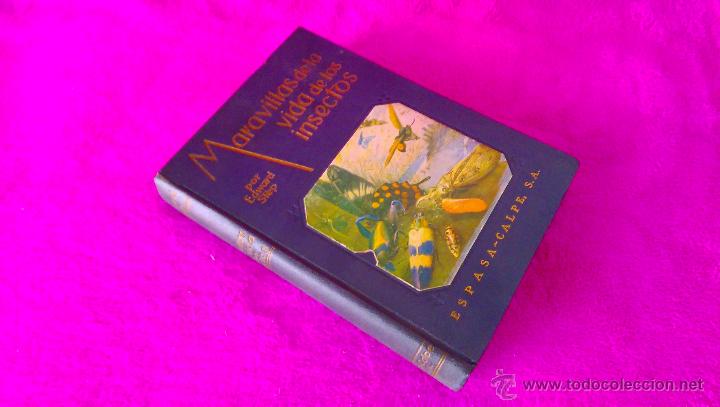 Libros antiguos: MARAVILLAS DE LA VIDA DE LOS INSECTOS, EDWARD STEP 1953 - Foto 1