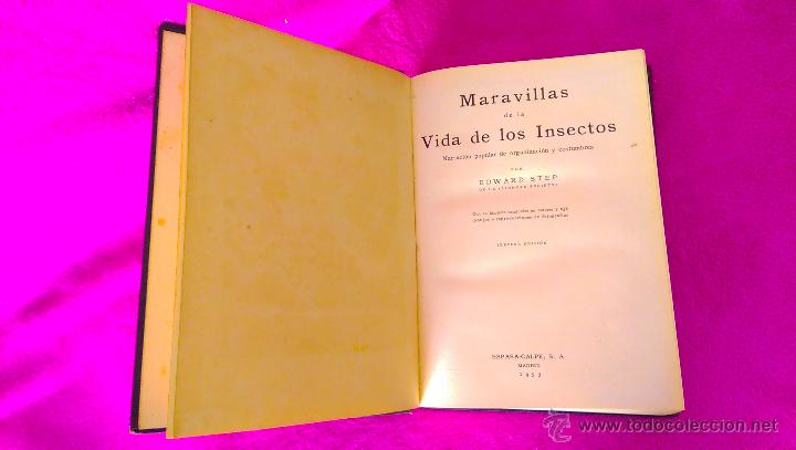 Libros antiguos: MARAVILLAS DE LA VIDA DE LOS INSECTOS, EDWARD STEP 1953 - Foto 2
