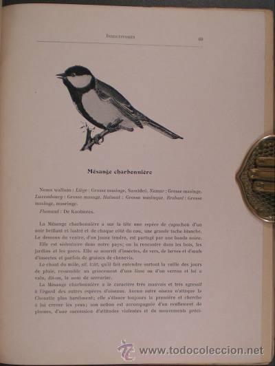 Libros antiguos: TERFVE, O: LES OISEAUX INSECTIVORES. - Foto 2