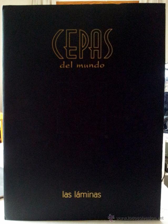 Livros antigos: CEPAS DEL MUNDO, CARPETA CON LAS 8 L&Aacute;MINAS DEL LIBRO ESCRITO POR JOS&Eacute; PE&Ntilde;&Iacute;N.