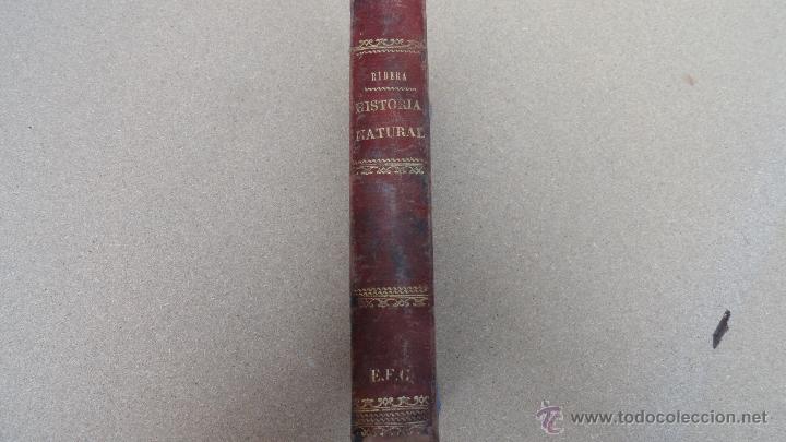 Libros antiguos: Historia natural del a&ntilde;o 1879 - Foto 1