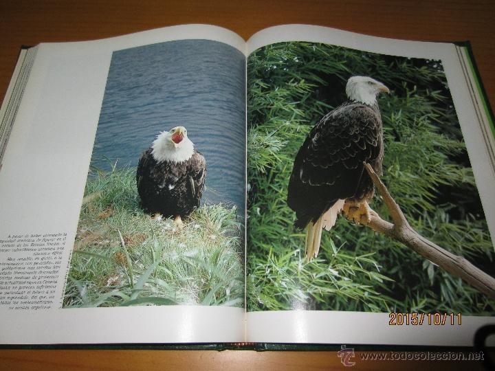Libros antiguos: LA AVENTURA DE LA VIDA - Foto 2
