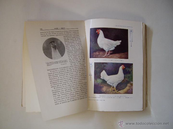 Libros antiguos: GALLINAS Y GALLINEROS - Foto 2