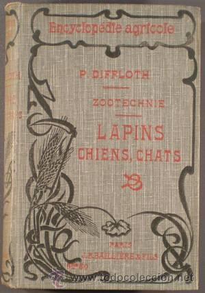 Libros antiguos: DIFFLOTH, PAUL: LAPINS, CHIENS, CHATS. 1912 - Foto 1