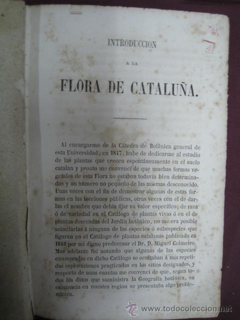 Libros antiguos: antonio cipriano costa introduccion a la flora de catalu&ntilde;a - Foto 3