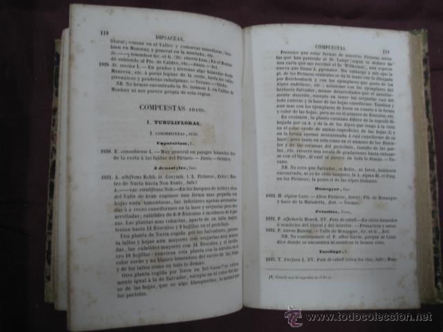 Libros antiguos: antonio cipriano costa introduccion a la flora de catalu&ntilde;a - Foto 6