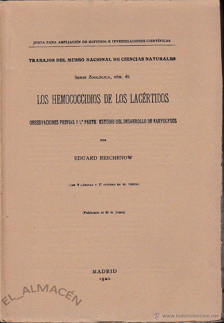 Libros antiguos: LOS HEMOCOCCIDIOS DE LOS LAC&Eacute;RTIDOS (E. REICHENOW, 1920) SIN USAR JAM&Aacute;S. - Foto 1