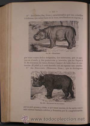 Libros antiguos: GALDO: MANUAL DE HISTORIA NATURAL. 1883 - Foto 1