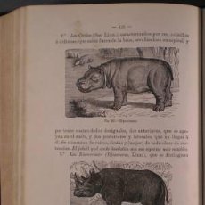 Libros antiguos: GALDO: MANUAL DE HISTORIA NATURAL. 1883. Lote 53551740