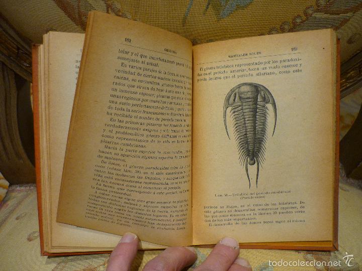 Libros antiguos: GEOLOG&Iacute;A, DE JOSE MACPHERSON. MANUALES SOLER N&ordm; XIV. - Foto 8