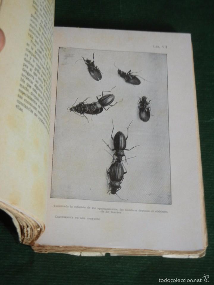 Libros antiguos: COSTUMBRES DE LOS INSECTOS, DE J.H.FABRE, 1936 - Foto 3