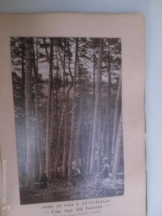 Libros antiguos: Notice sur les forets de Hongrie. - Foto 2