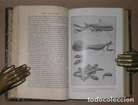 Libros antiguos: FABRE, J.H: MOEURS DES INSECTES - Foto 2