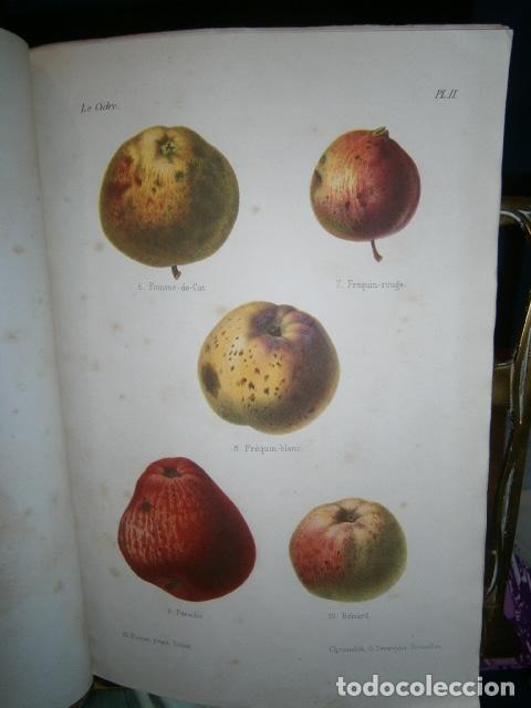 Libros antiguos: SIDRA - SIDRER&Iacute;A - MANZANAS. La cidre. - Foto 2