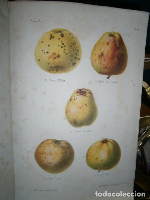 Libros antiguos: SIDRA - SIDRER&Iacute;A - MANZANAS. La cidre. - Foto 4