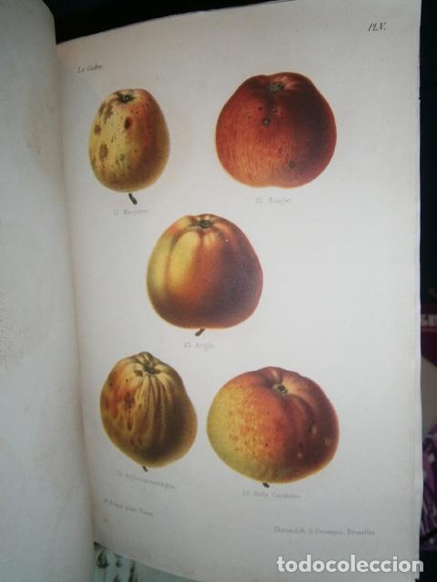 Libros antiguos: SIDRA - SIDRER&Iacute;A - MANZANAS. La cidre. - Foto 5