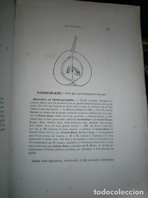 Libros antiguos: SIDRA - SIDRER&Iacute;A - MANZANAS. La cidre. - Foto 7
