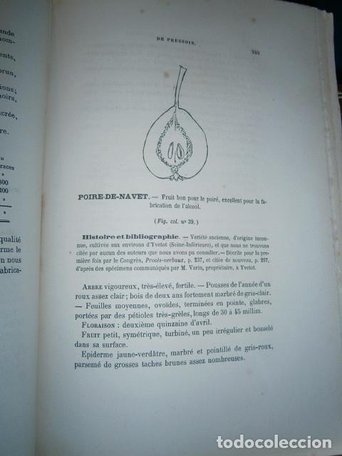 Libros antiguos: SIDRA - SIDRER&Iacute;A - MANZANAS. La cidre. - Foto 8