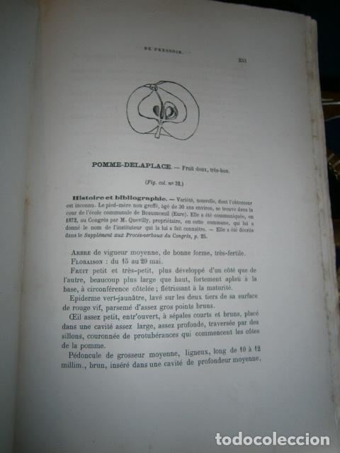 Libros antiguos: SIDRA - SIDRER&Iacute;A - MANZANAS. La cidre. - Foto 11