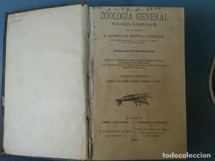 Libros antiguos: LIBRO DE ZOOLOGIA DE 1899 - Foto 2