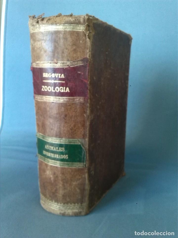 Libros antiguos: LIBRO DE ZOOLOGIA DE 1899 - Foto 3