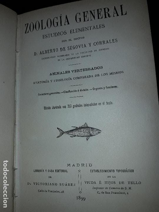 Libros antiguos: Libros de zoolog&iacute;a general de 1899 - Foto 3