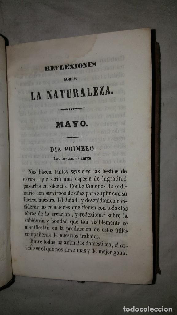 Libros antiguos: REFLEXIONES SOBRE LA NATURALEZA-  TOMAS CUCHI - Foto 3
