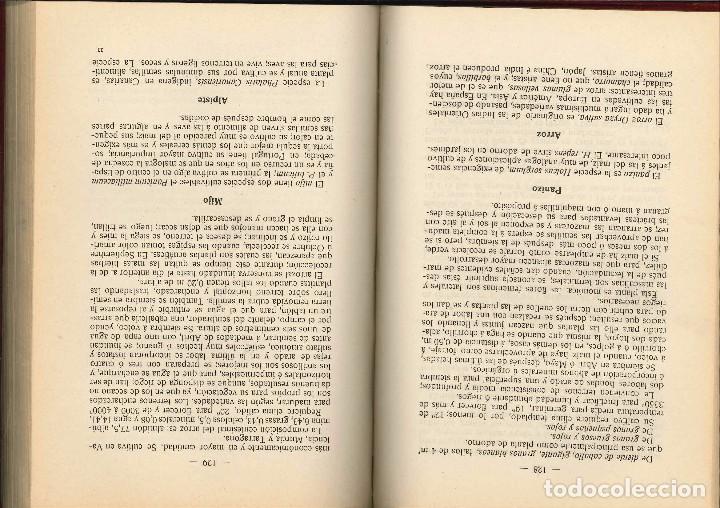 Libros antiguos: AGRICULTURA MODERNA TEORIA PRACTICA 1912 - Foto 2