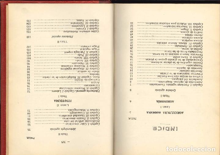 Libros antiguos: AGRICULTURA MODERNA TEORIA PRACTICA 1912 - Foto 3