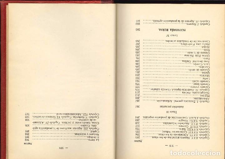 Libros antiguos: AGRICULTURA MODERNA TEORIA PRACTICA 1912 - Foto 5