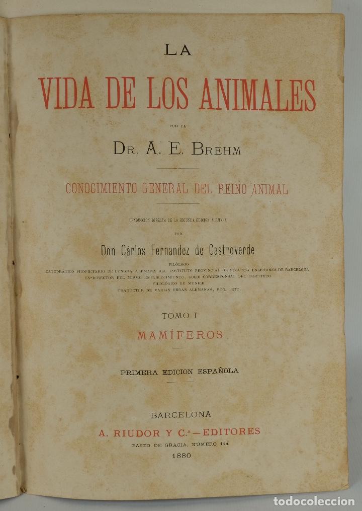 La Vida De Los Animales Dr A E Brehm Ed A Riudo Comprar Libros Antiguos De Biologia Y Botanica En Todocoleccion