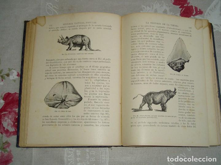 Libros antiguos: Libro la Historia Natural de Sopena 1935 - Foto 5