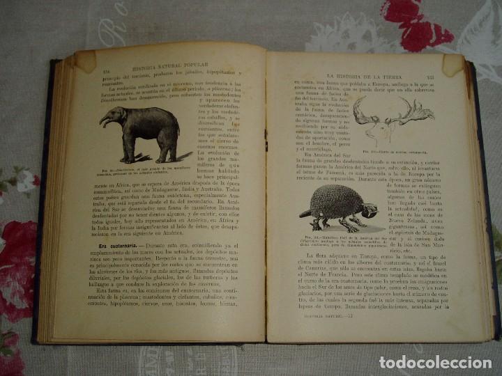 Libros antiguos: Libro la Historia Natural de Sopena 1935 - Foto 6