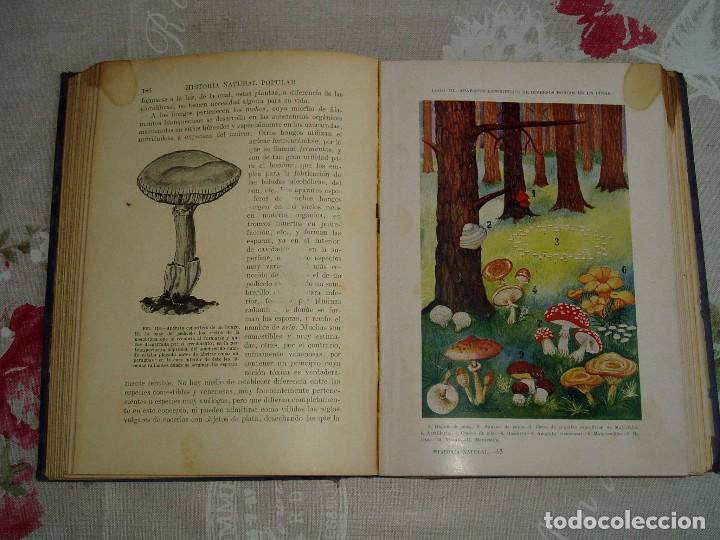Libros antiguos: Libro la Historia Natural de Sopena 1935 - Foto 7