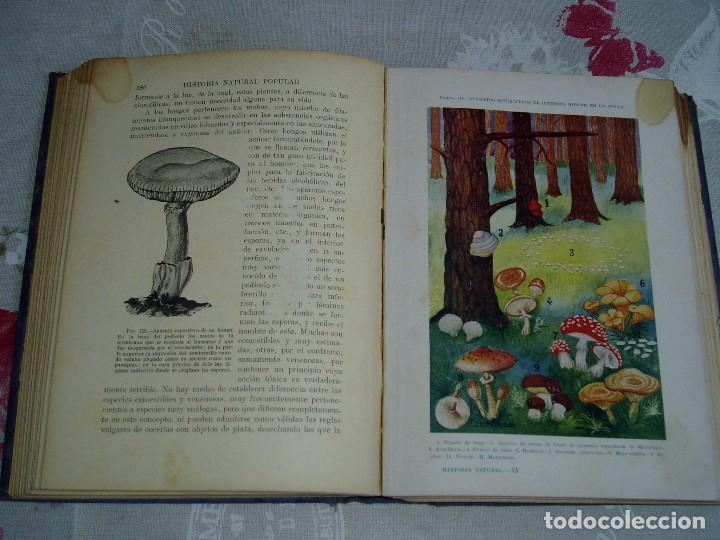 Libros antiguos: Libro la Historia Natural de Sopena 1935 - Foto 8