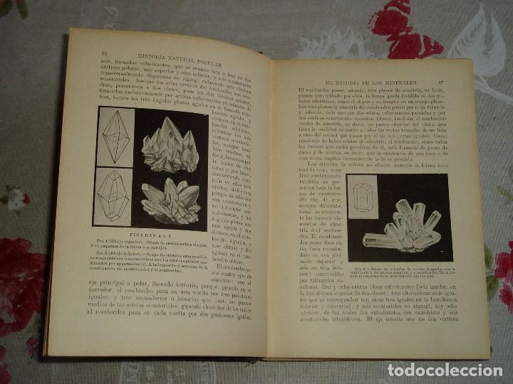 Libros antiguos: Libro la Historia Natural de Sopena 1935 - Foto 9