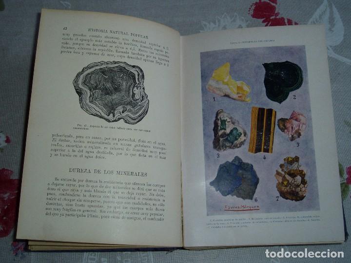 Libros antiguos: Libro la Historia Natural de Sopena 1935 - Foto 10