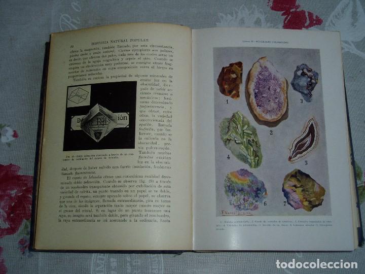 Libros antiguos: Libro la Historia Natural de Sopena 1935 - Foto 11