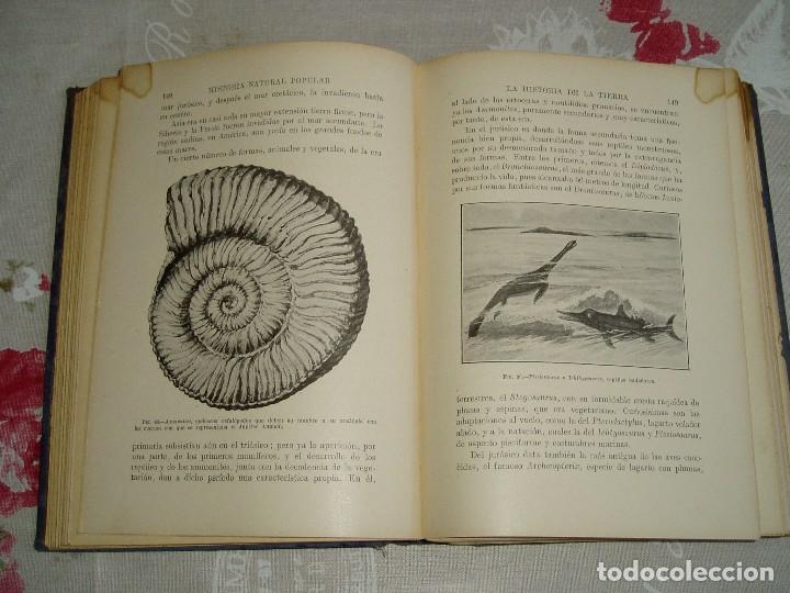 Libros antiguos: Libro la Historia Natural de Sopena 1935 - Foto 12