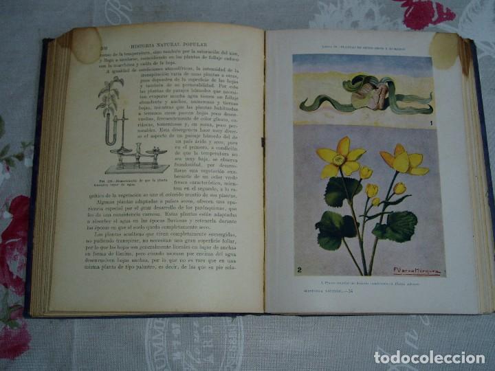 Libros antiguos: Libro la Historia Natural de Sopena 1935 - Foto 13