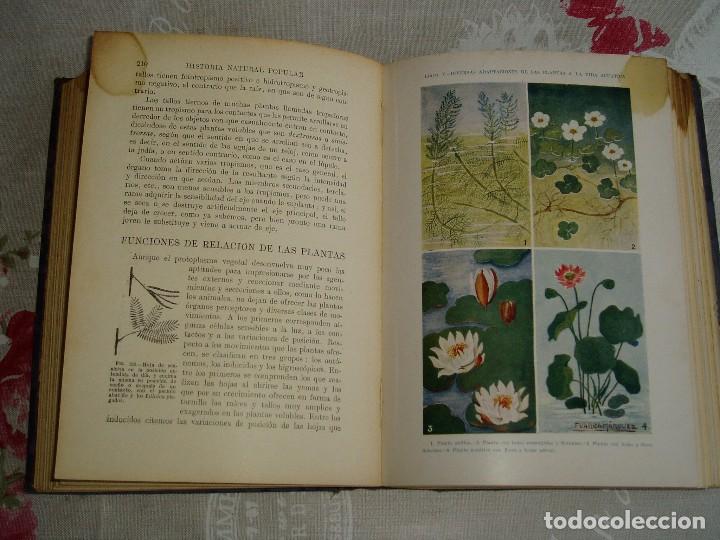 Libros antiguos: Libro la Historia Natural de Sopena 1935 - Foto 14