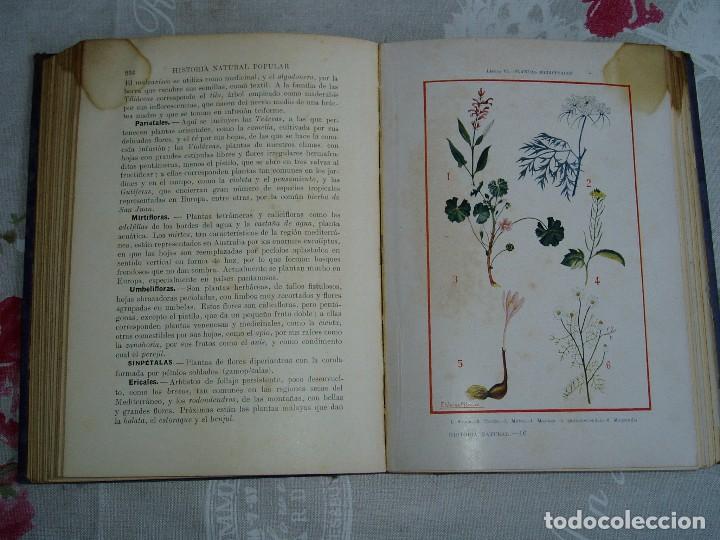 Libros antiguos: Libro la Historia Natural de Sopena 1935 - Foto 15