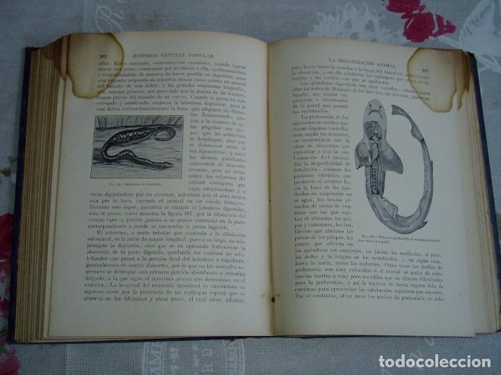 Libros antiguos: Libro la Historia Natural de Sopena 1935 - Foto 17