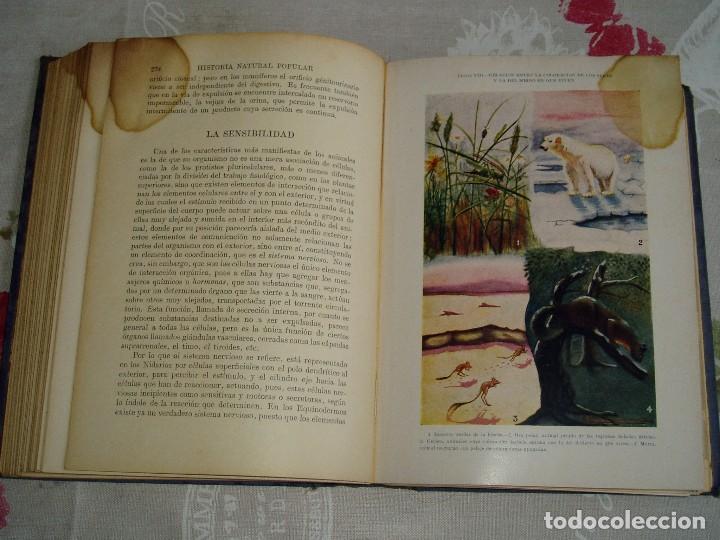 Libros antiguos: Libro la Historia Natural de Sopena 1935 - Foto 18