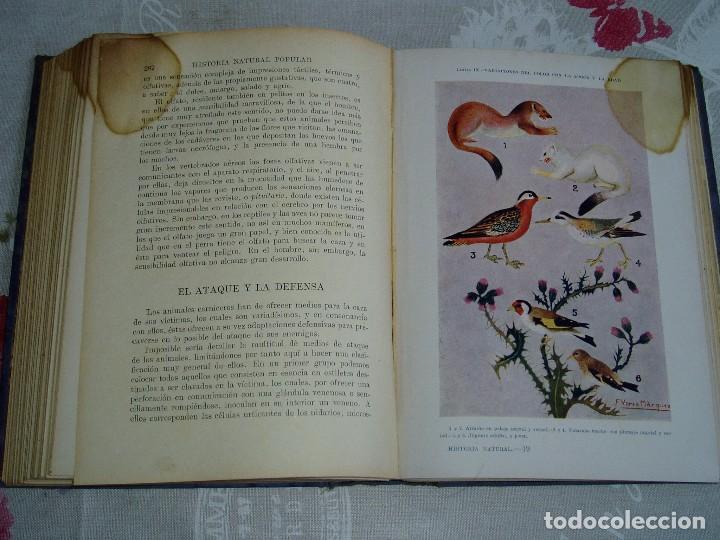 Libros antiguos: Libro la Historia Natural de Sopena 1935 - Foto 19