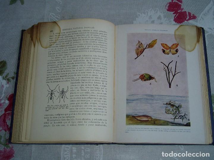 Libros antiguos: Libro la Historia Natural de Sopena 1935 - Foto 20
