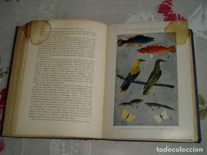 Libros antiguos: Libro la Historia Natural de Sopena 1935 - Foto 21
